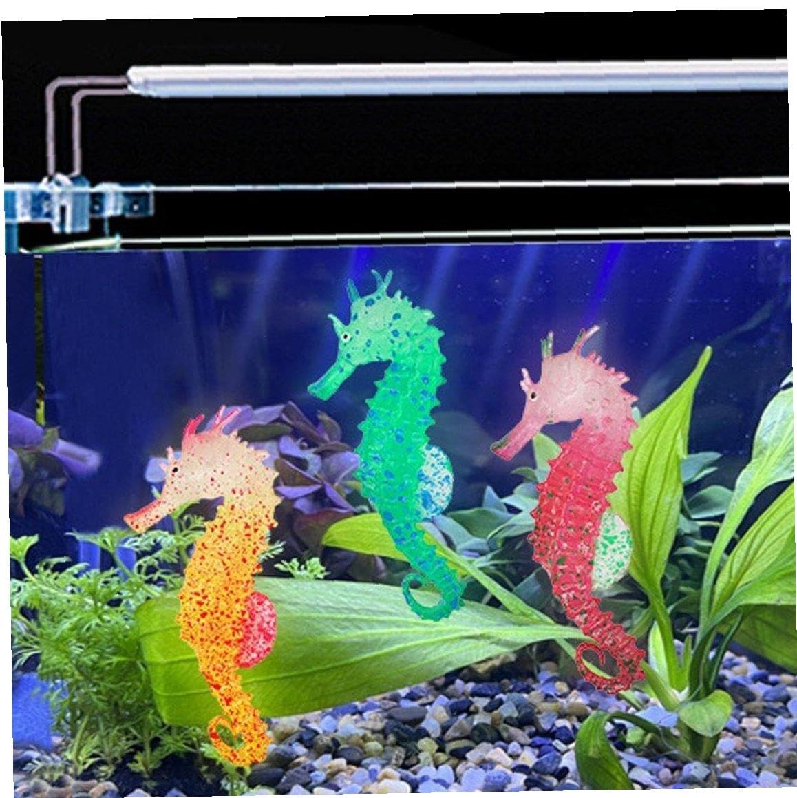 Amazon.co.jp: 人工魚 海馬 タツノオトシゴ 夜光 光る フロート飾り